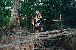 BIB: 
                            <button type="button" onclick="openModal(27314149)" class="btn btn-primary btn-sm float-right btn-popup" data-toggle="modal" data-target=".modal-high-quality">
                        <i class="fas fa-shopping-cart"></i> Add to Cart
                    </button>
                                            <button type="button" onclick="isThisMe(27314149, true)" class="btn btn-success btn-sm float-right btn-popup btn-isme hidden" data-toggle="tooltip" data-placement="bottom" title="นี่คือรูปของคุณใช่ไหม คลิกที่นี่เพื่อเอาเข้าอัลบั้ม">
                        <i class="fas fa-plus"></i> Add to album
                    </button>
                    <button type="button" onclick="isThisMe(27314149, false)" class="btn btn-warning btn-sm float-right btn-popup btn-isnotme hidden">
                        <i class="fas fa-ban"></i> Remove from album
                    </button>